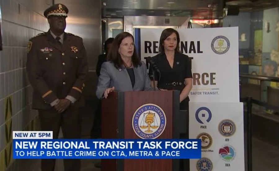 Illinois Public Act 101-0038 Task Force