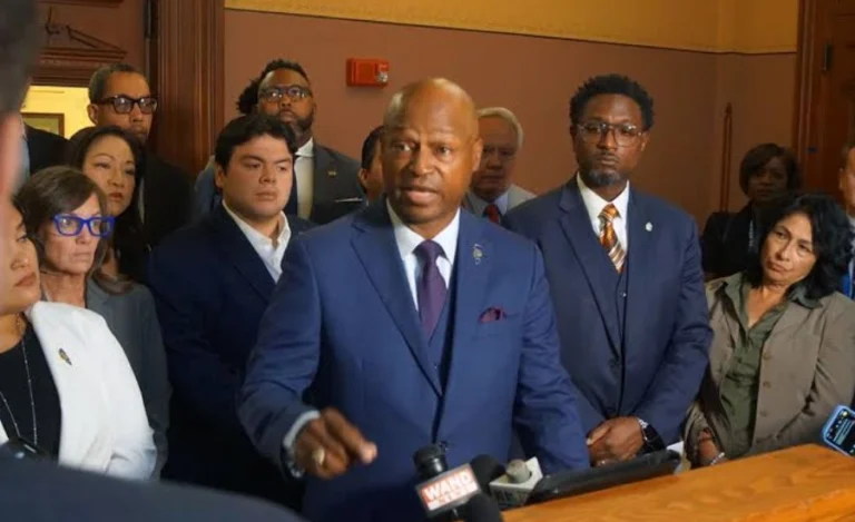Illinois Public Act 101-0038 Task Force